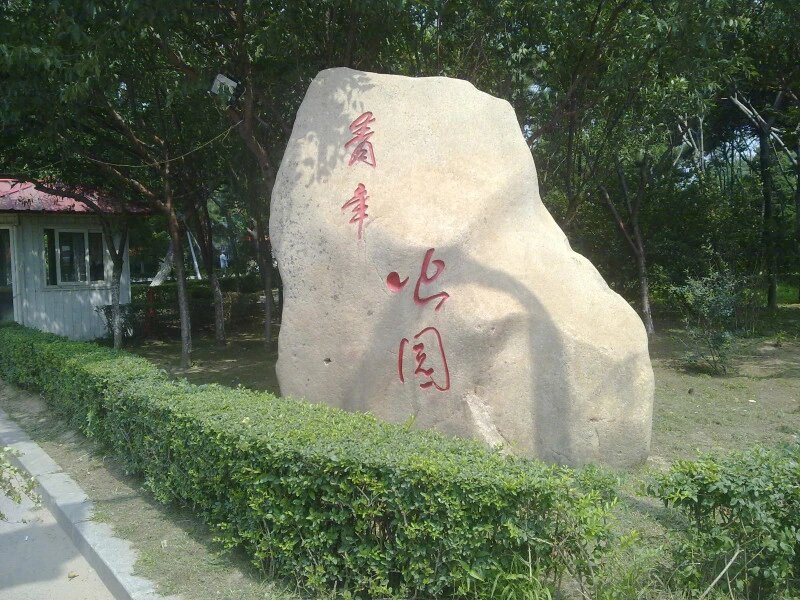 11.jpg